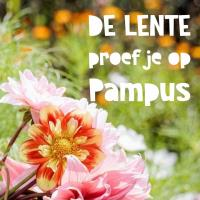 4. Lentelicht: avontuurlijk dineren op Pampus - vertrek Muiden